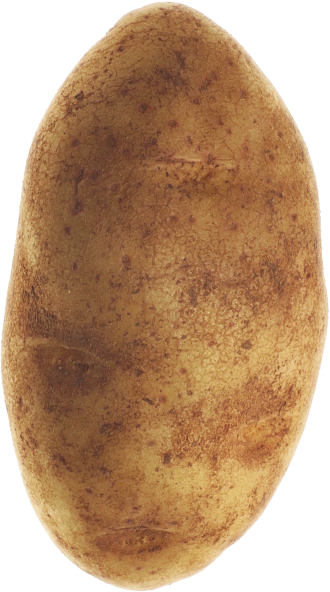 potato
